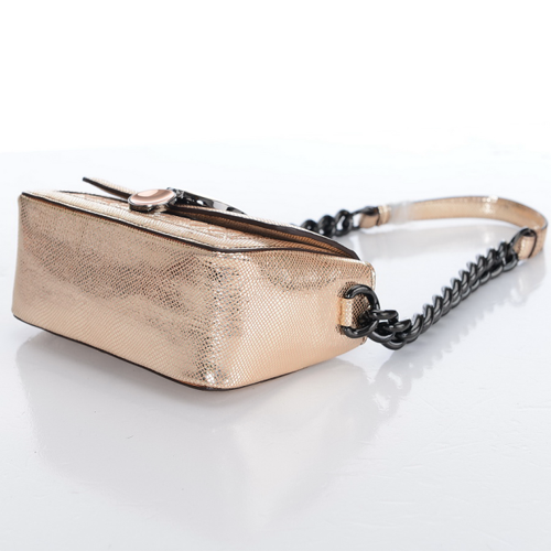 春夏新作新品 ボッテガ ヴェネタ スーパーコピーバッグBOTTEGA VENETA BV196