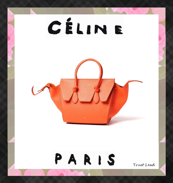 セレブ愛用☆早い者勝ち★CELINE セリーヌ コピー☆TIE MINI★ハンドバッグ 175883TKB20BT