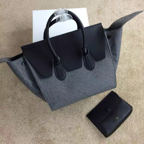 E-GOSTYLE COLLECTION SUMMER SPRING 2016 CELINE セリーヌ コピー ハンドバッグ? スムースカーフスキン&スエード 175883 SKA 27AZ