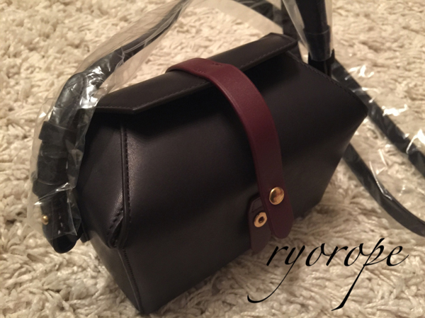 2016SSNEW セリーヌスーパーコピー ★希少！素敵すぎる★ CELINE【BOX ON STRAP】 106003ABC.07OC