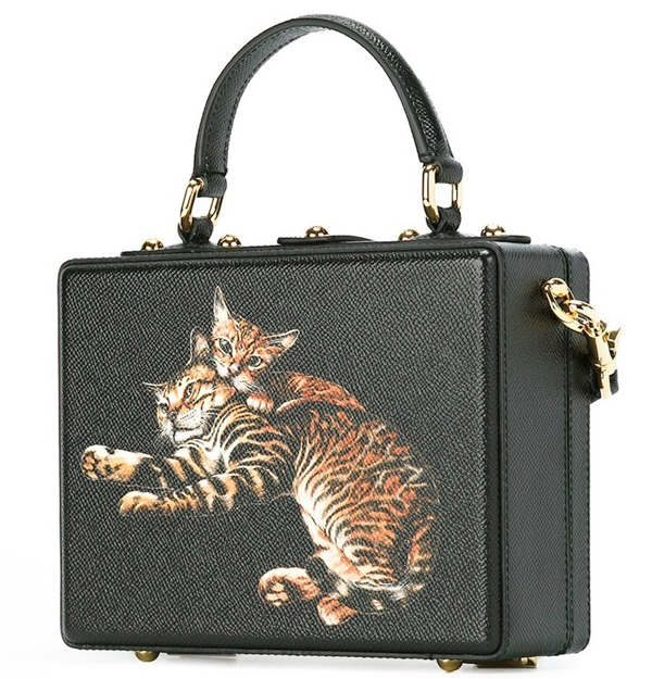 16-17AW Dolce&Gabbana(D&G)ドルチェ&ガッバーナ スーパーコピー DG647 CAT PRINT DOLCE BOX
