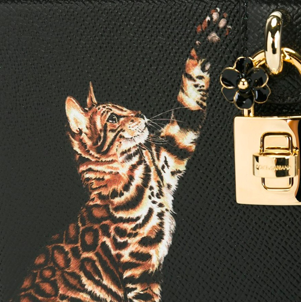 16-17AW Dolce&Gabbana(D&G)ドルチェ&ガッバーナ スーパーコピー DG647 CAT PRINT DOLCE BOX