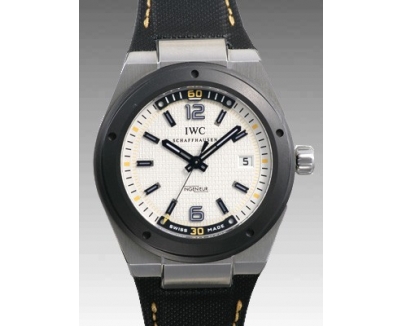 IWC インヂュニア オートマティック クライメット・アクション IW323402