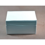 IWC-IWC-腕時計-国際保証書、純正ボックス-001