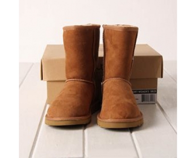 UGG58252-UGG-アグ オーストラリア-ブーツ-シープスキン＋ウル