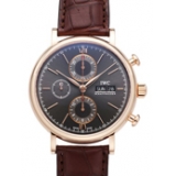 IWC ポートフィノ クロノグラフ IW391021