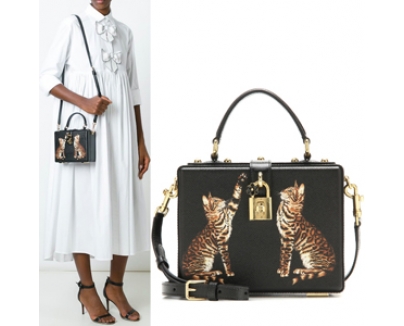 16-17AW Dolce&Gabbana(D&G)ドルチェ&ガッバーナ スーパーコピー DG647 CAT PRINT DOLCE BOX