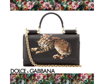 2017新作人気 Dolce&Gabbana ((D&G)ドルチェ&ガッバーナ スーパーコピー) Zambia smartphone case スマホバッグ