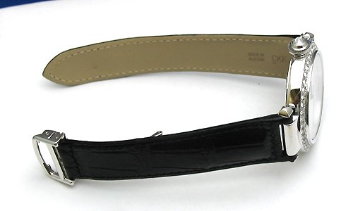 カルティエスーパーコピー パシャ４２ WJ120251 シルバー