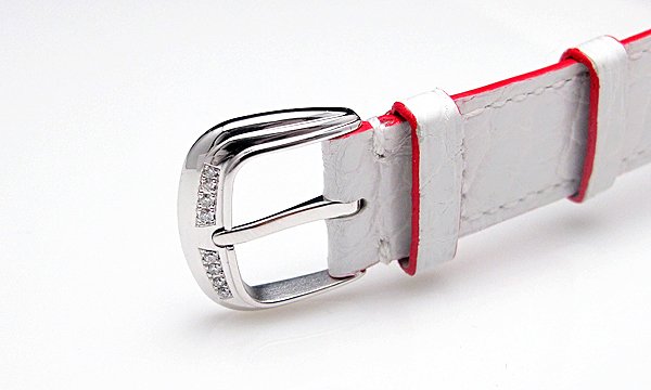 フランク・ミュラー トノウカーベックス ピンク・オーキッド 5850 B SCD 8CD シルバー