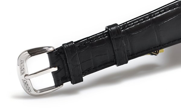 フランク・ミュラー トノウカーベックス シークレットアワーズ 7880SE H I D