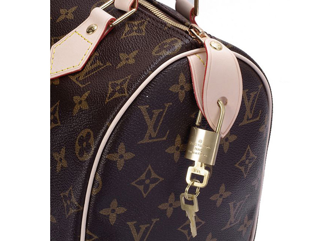  ルイヴィトンLOUIS VUITTON モノグラム ハンドバッグM41528